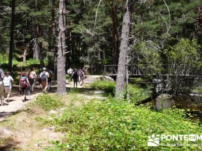 Las Pesquerías Reales - Senderismo Segovia (Ruta de las Pesquerías Reales); senderos gr